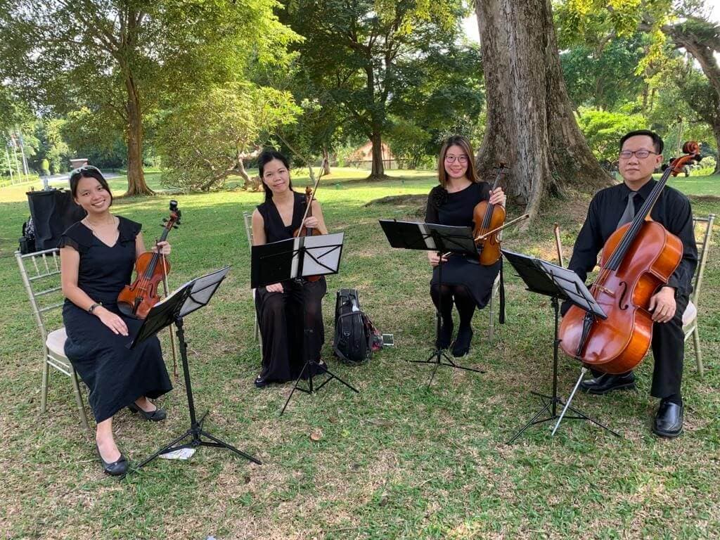 String ensemble playing outdoors on a lawn