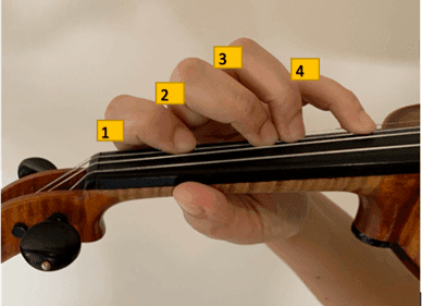 Illustration from How to Read Notes And Relate it to the Violin?