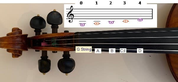 Illustration from How to Read Notes And Relate it to the Violin?